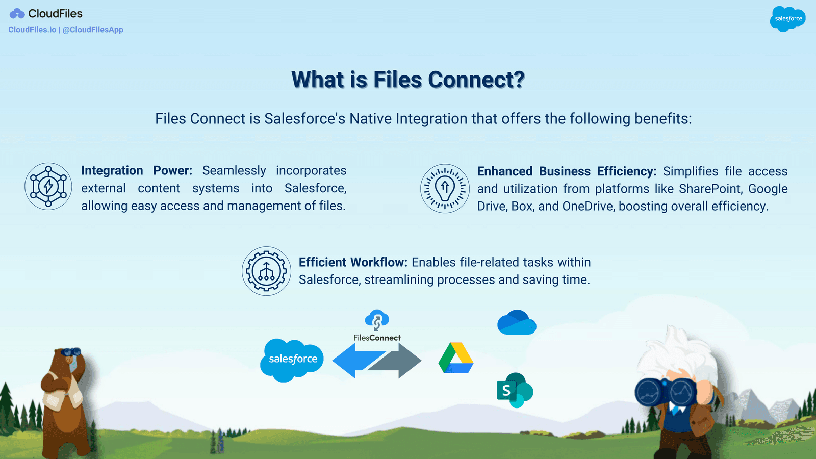 Step-by-Step Process of Files Connect - What is Files Connect?