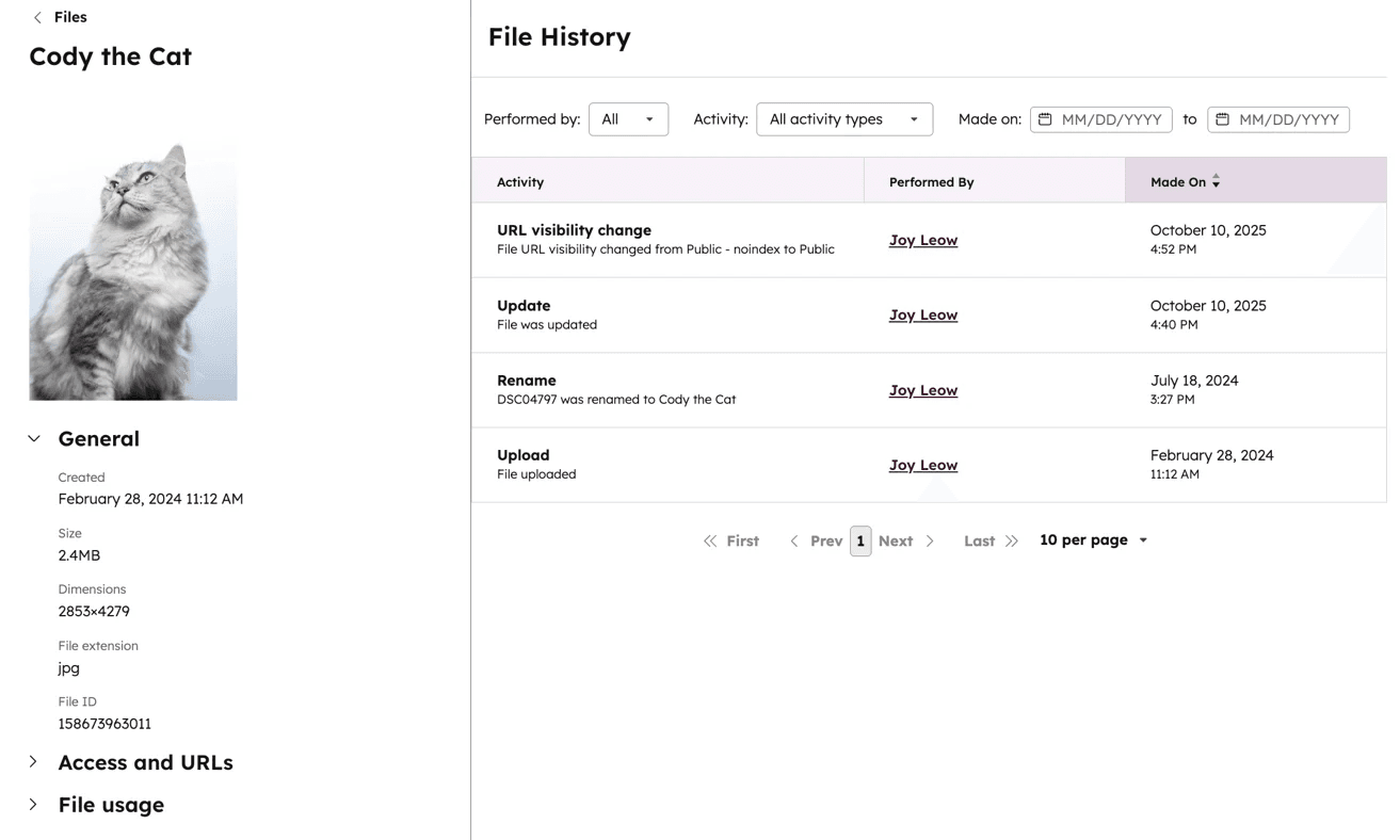 Detailed File History View