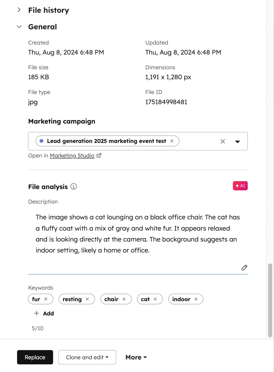 File details and AI-generated analysis