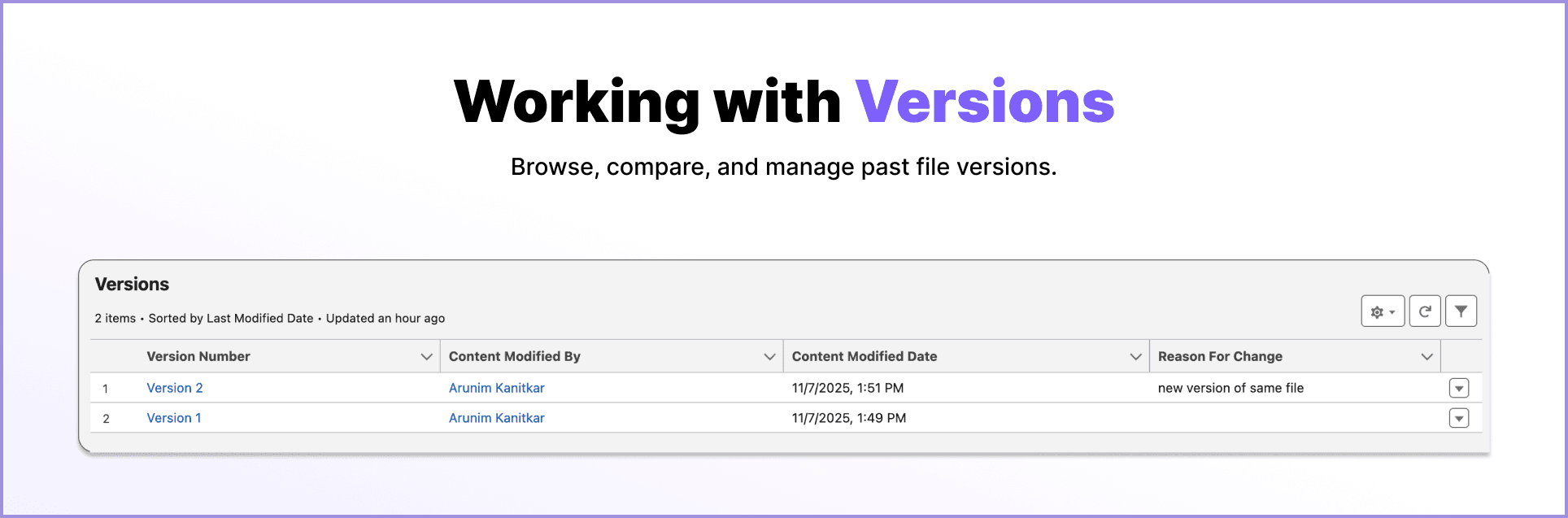file versioning
